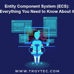Entity Component System
