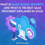 SaaS Cloud Security