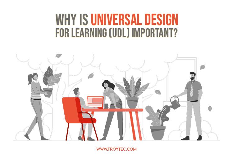 Universal Design for Learning