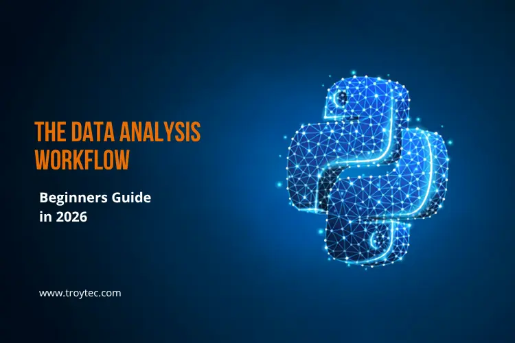 Python for Data Analysis workflow