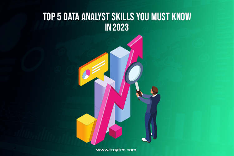 Data Analyst Skills