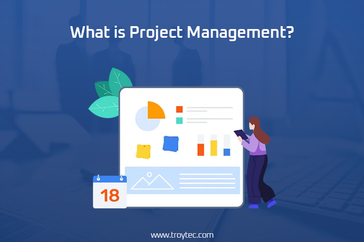 Google project management