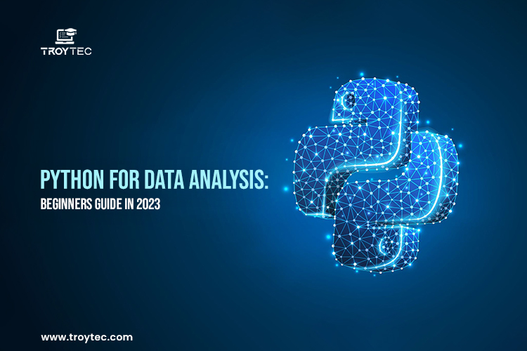 Python for Data Analysis