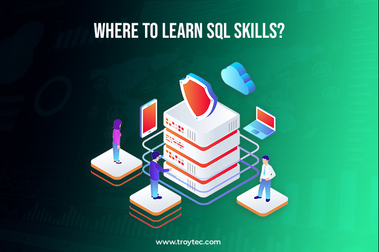 Data Analyst Skills