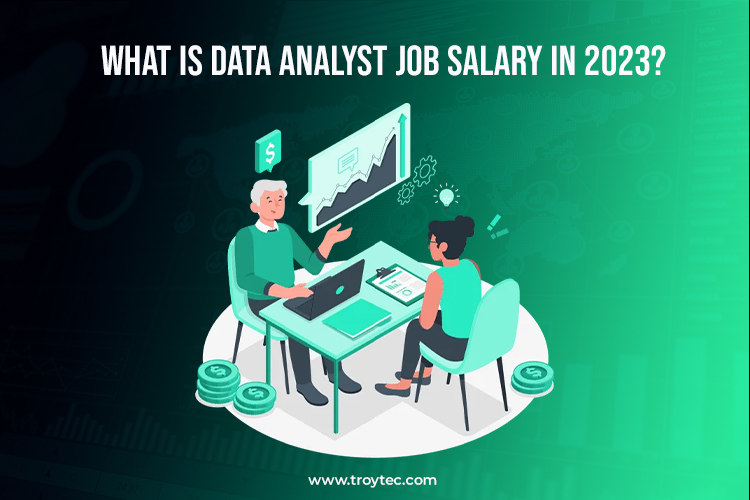 Data Analyst Skills