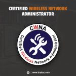 Wireless Network Administrator