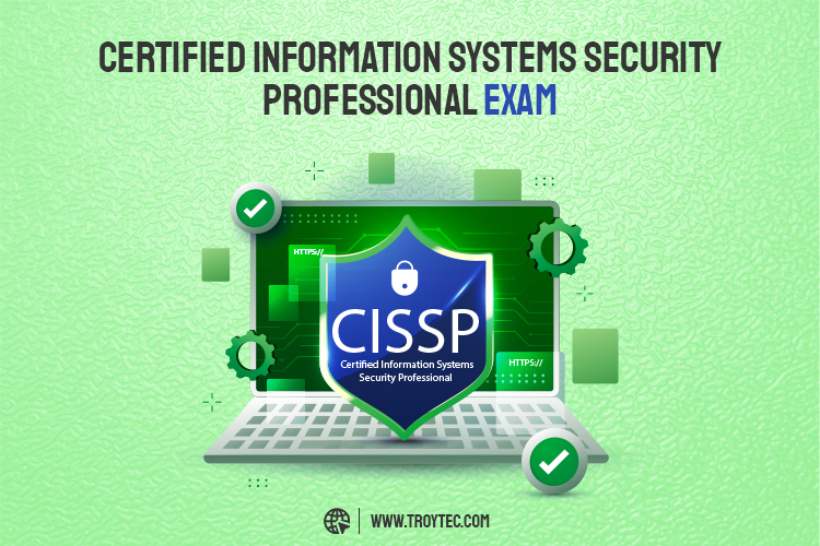 information Systems Security