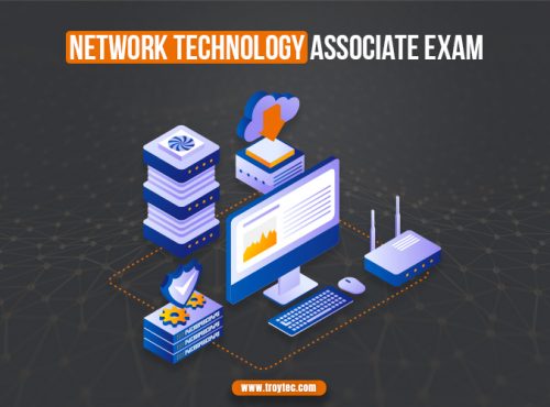 Network Technology Associate
