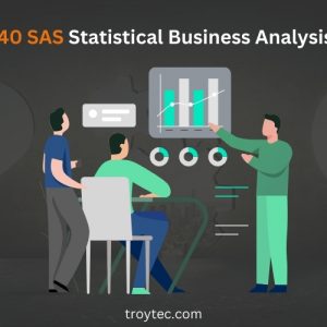Statistical Business Analysis