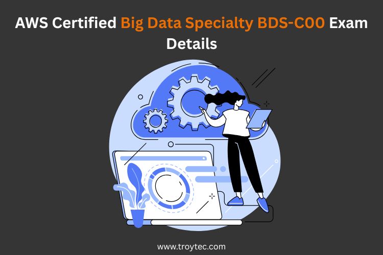 AWS certified big data