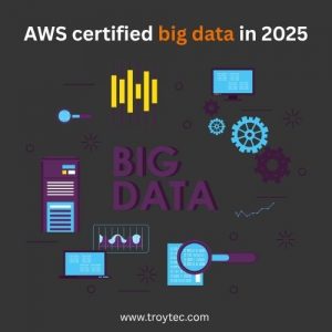 AWS certified big data