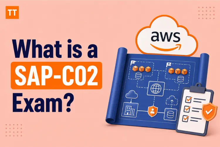 What is a SAP-C02 Exam?